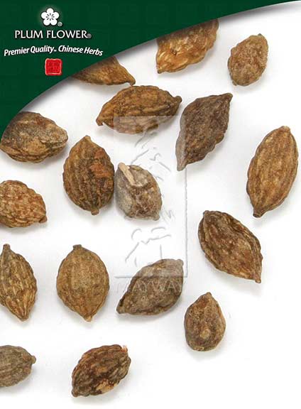 Plum Flower™️ Yi Zhi Ren, unsulfured