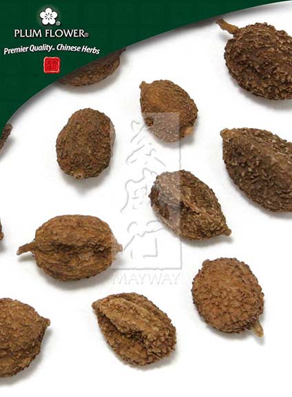 Plum Flower™️  Sha Ren, unsulfured