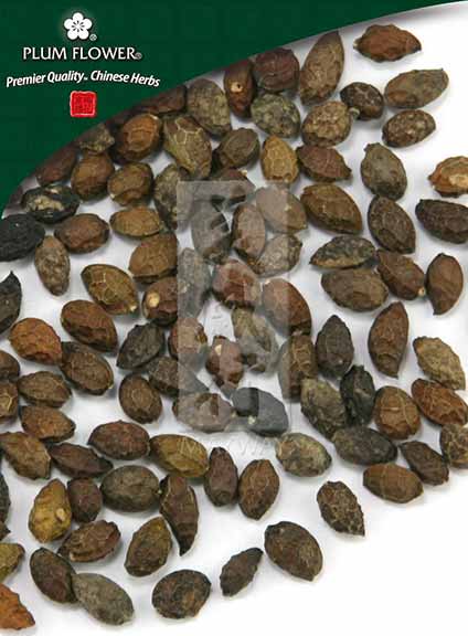 Ya Dan Zi, unsulfured – Mayway Herbs
