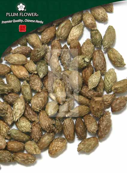 Plum Flower™️ Cang Er Zi, unsulfured