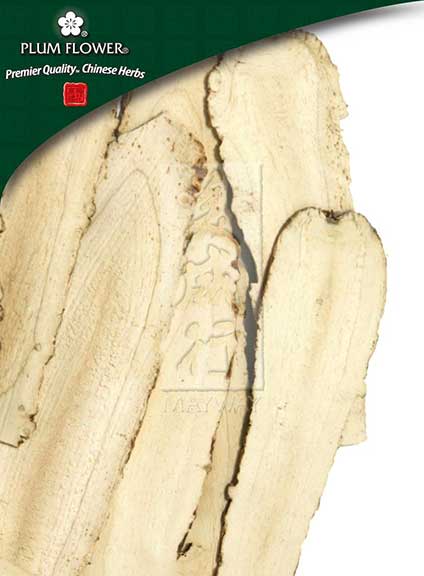 Plum Flower™️ Bai Zhi, unsulfured