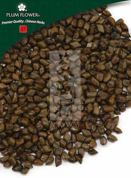 Plum Flower™️ Jue Ming Zi, unsulfured