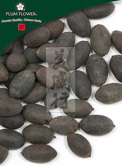 Plum Flower™️  Shi Lian Zi, unsulfured