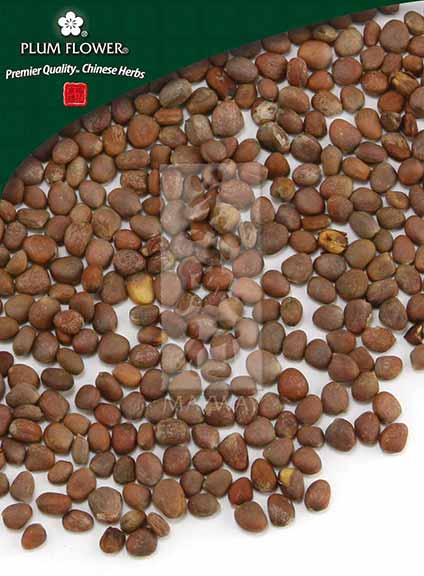 Plum Flower™️ Lai Fu Zi, unsulfured