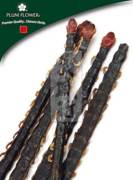 Plum Flower™️ Wu Gong, unsulfured