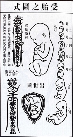 Fetal Development from Chinese Farmer's Almanac