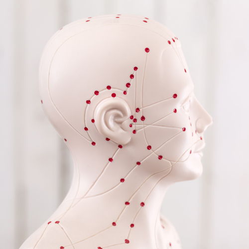 photo of mannequin head with acupuncture points
