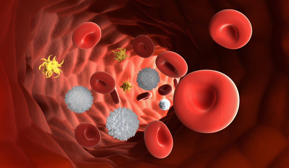Image showing an animation of blood