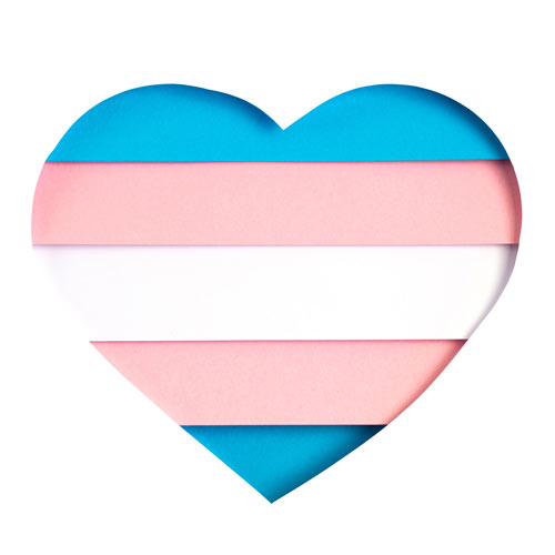 Trans Flag Image