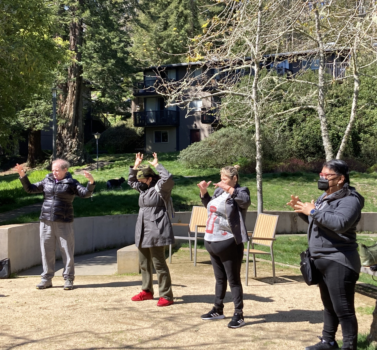Photo of people doing tai chi in a park