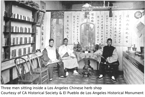 Photo of 3 men in a Chinese medicine herb shop in Los Angeles