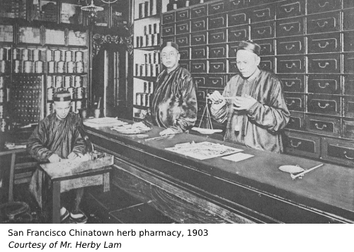 Photo of a chinatown pharmacy from 1903