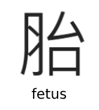 chinese character for fetus