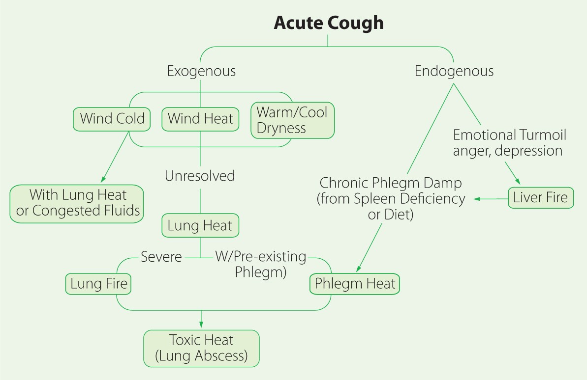 graphic showing tcm types of acute coughs