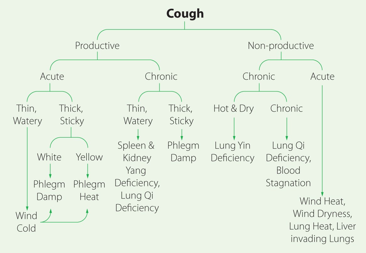 chart showing productive vs non productive coughs and types of tcm diagnosis for each