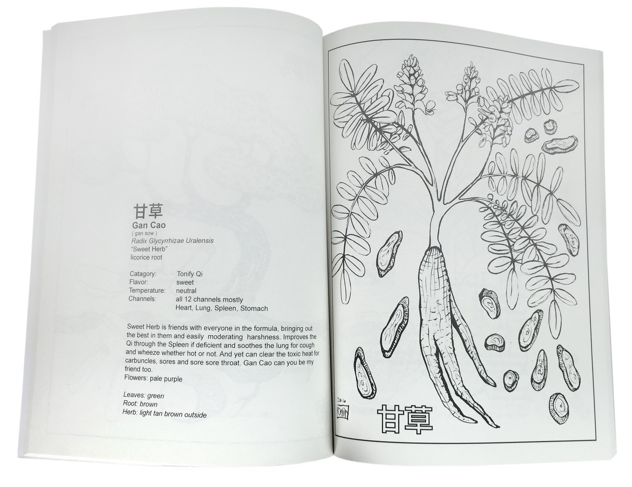 Chinese Herb Coloring Book