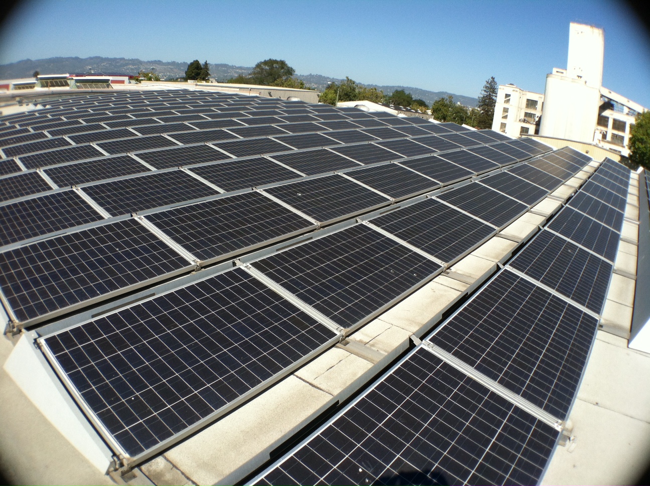 photo of mayway's roof with solar panels