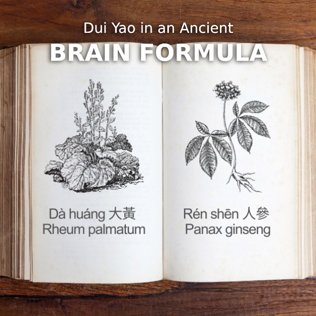 photo of a book showing 2 different herbs on the pages - the herbs are ren shen and da huang