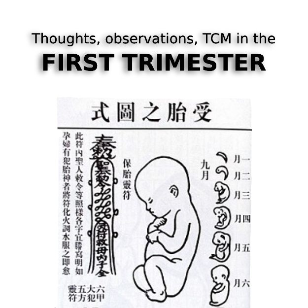 graphic of a Chinese text book with outline drawings of a fetus click for article about first trimester