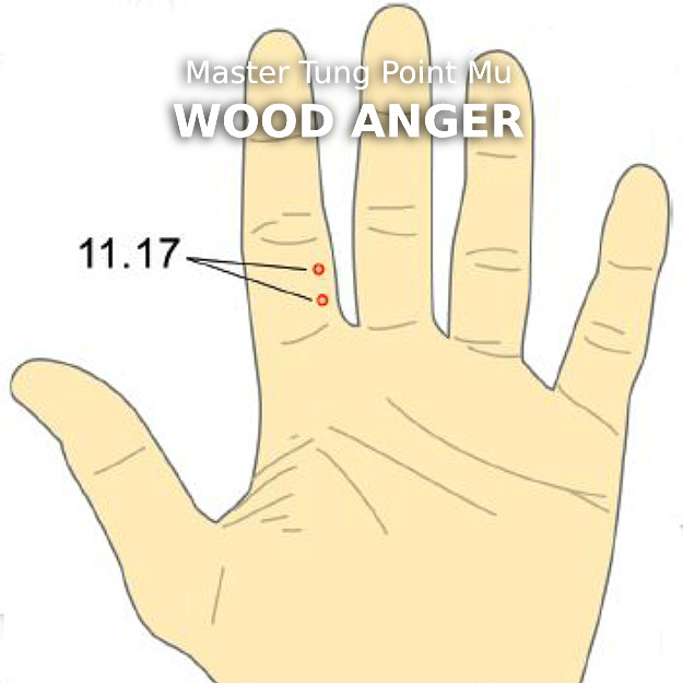 illustration of a hand showing point location for wood anger points
