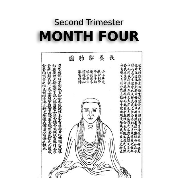 graphic of a woodcut of a female daoist practicing zhangyang shengtai nurturing the sacred embryo - teasing an article about the second trimester month four from a tcm perspective click for details