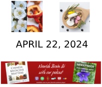 April 22, 2024 Newsletter