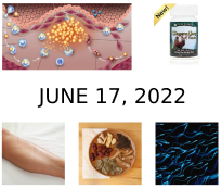 June 17, 2022 Newsletter