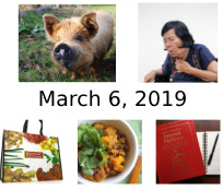 March 6, 2019 Newsletter