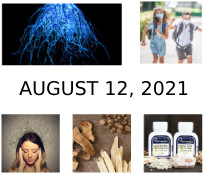 August 12, 2021 Newsletter