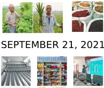 September 21, 2021 Newsletter