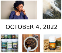 October 4, 2022 Newsletter
