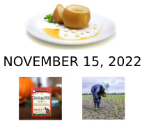 November 15, 2022 Newsletter