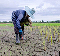 Image of woman standing on cracked dry land